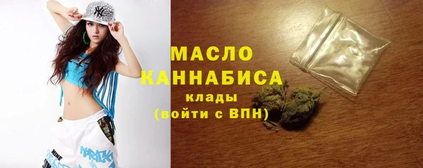 индика Бронницы
