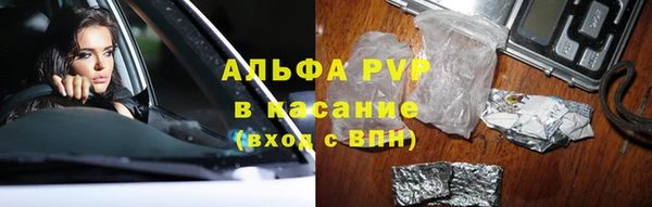 индика Бронницы