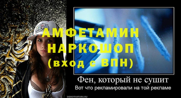 молекула духа Бородино
