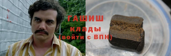индика Бронницы