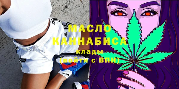 индика Бронницы