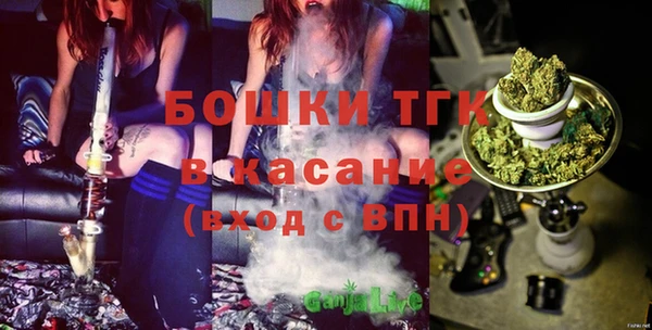 стаф Бугульма
