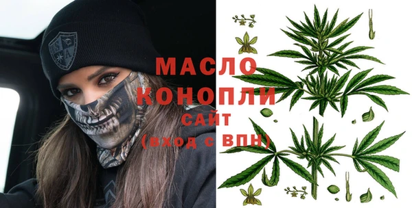 индика Бронницы