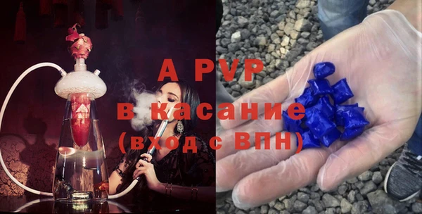 индика Бронницы