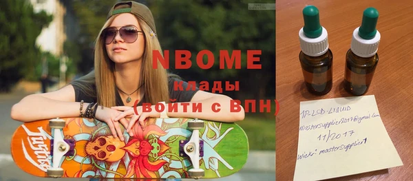 индика Бронницы