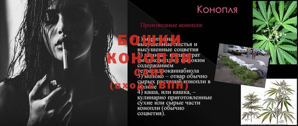 индика Бронницы