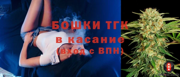 молекула духа Бородино