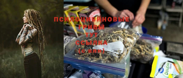 индика Бронницы