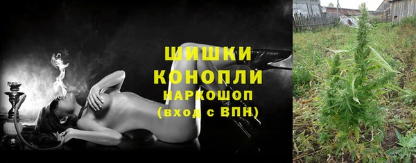 молекула духа Бородино
