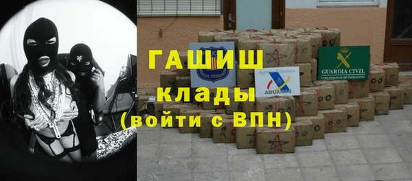 индика Бронницы