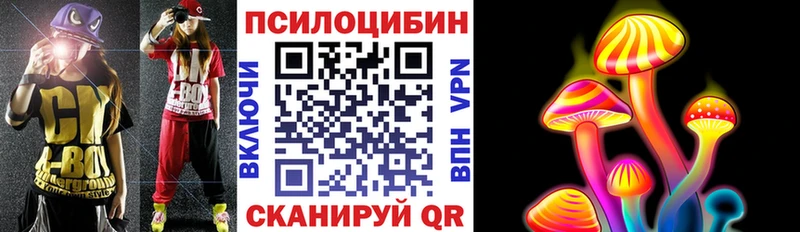 площадка состав  Бронницы  Галлюциногенные грибы Psilocybe 